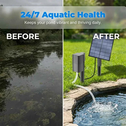 🐟 Solar Pond Aerator with Air Pump – Outdoor Solar Oxygenator