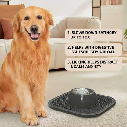Anti-Slip Slow Feeder Lick Bowl with Built-in Ball – 3/4 Cup for Liquid Treats, Bone Broth & Yogurt – for All Dog Breeds