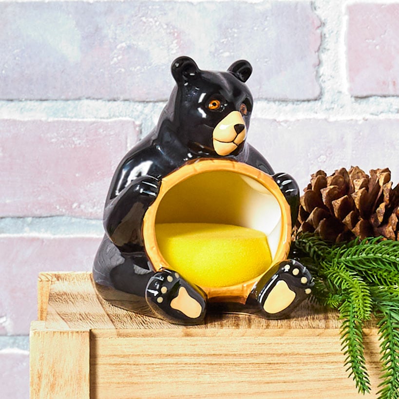 Lodge Kitchen Decor - Sponge Holder, Paper Towel Holder, Salt & Pepper